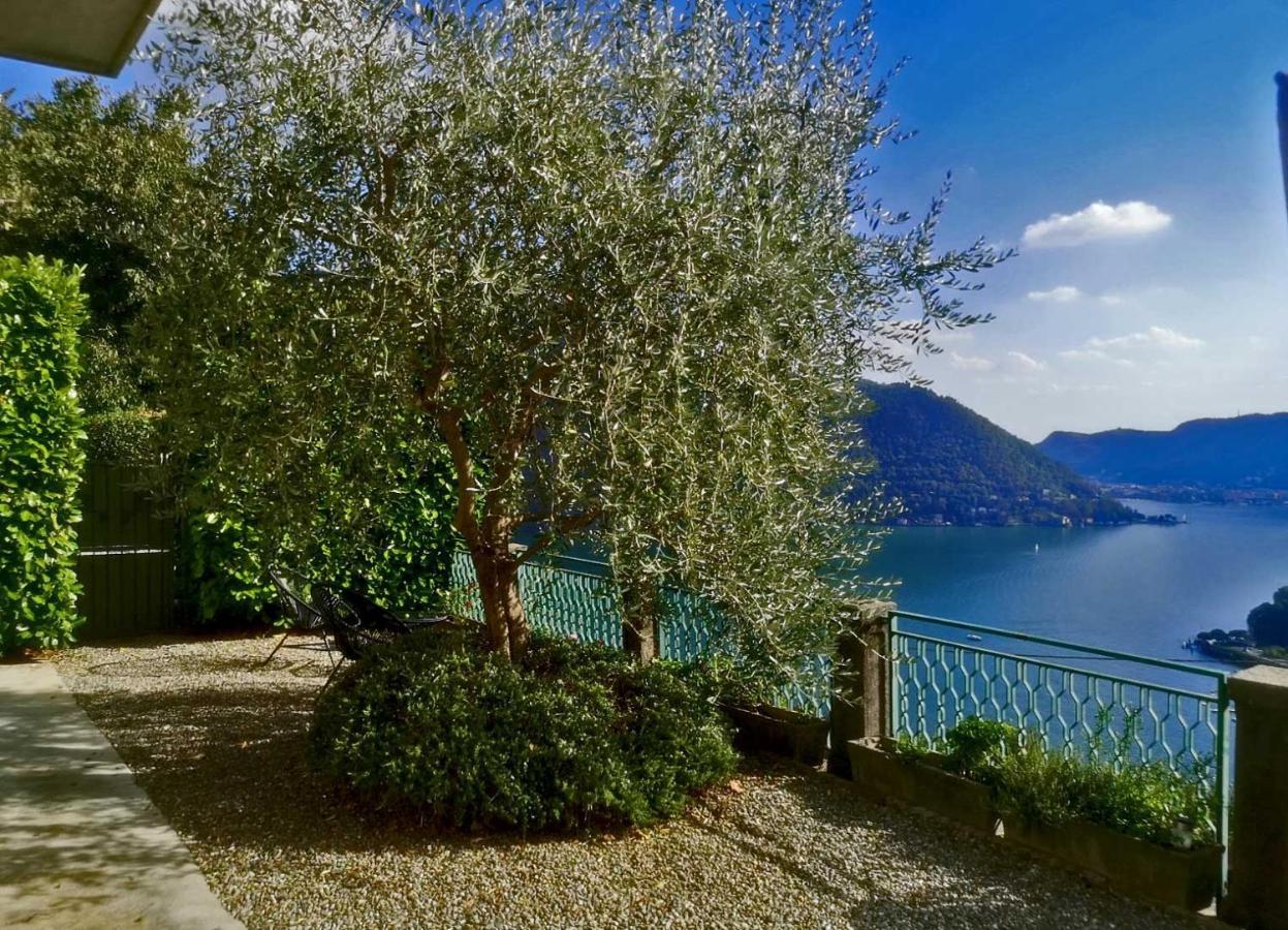 Como Lake Panorama Apartment Sveva Cernobbio Extérieur photo